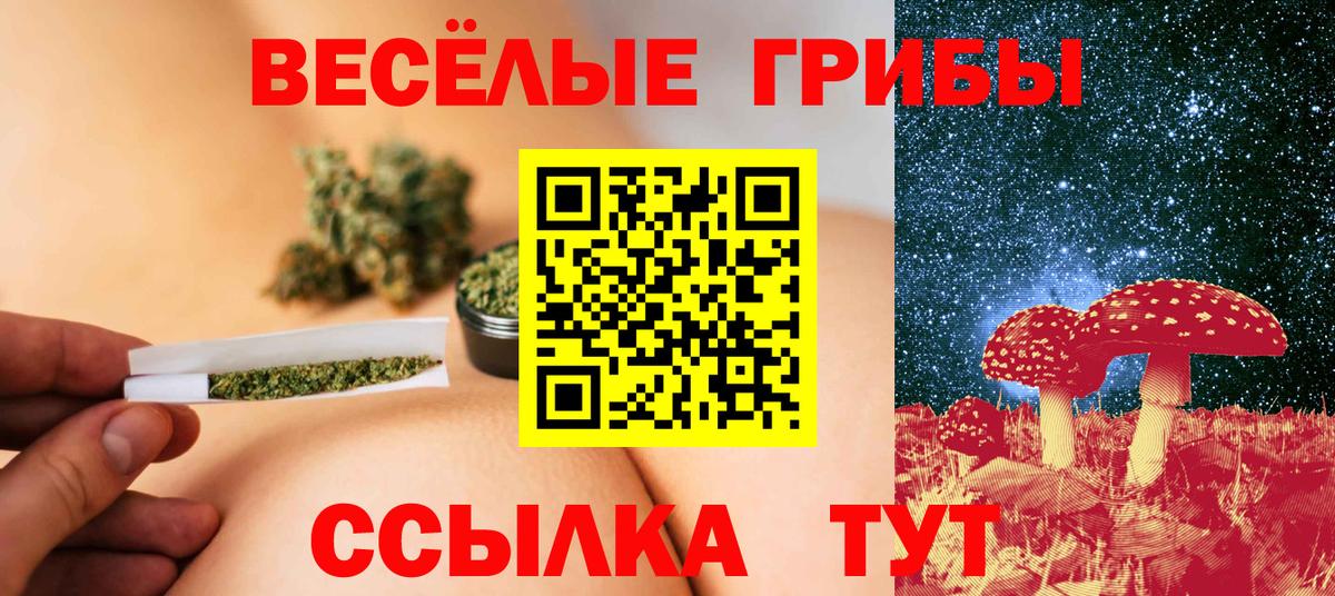 Галлюциногенные грибы Cubensis  Вход с VPN  Галлюциногенные грибы мицелий  Коркино 