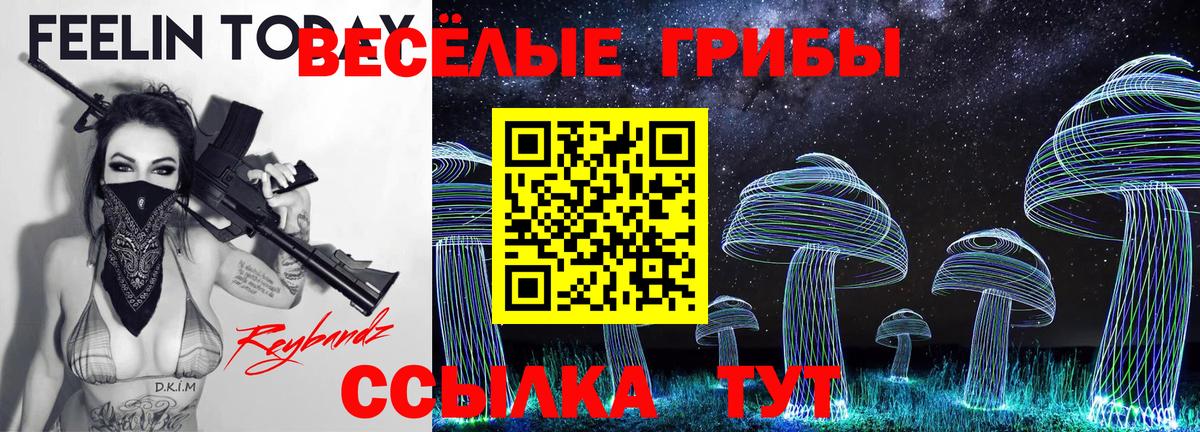 Псилоцибиновые грибы Psilocybine cubensis Коркино
